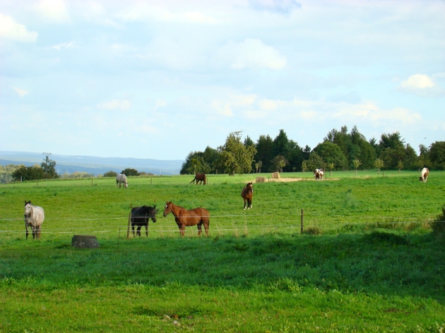The Pastures at Hofgut Molsberg